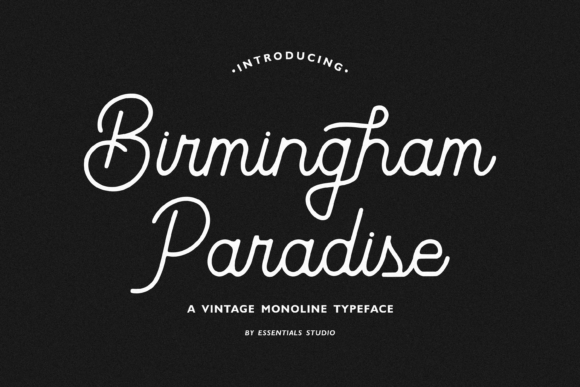 Birmingham Paradise: A Script Font That Feels Like Home