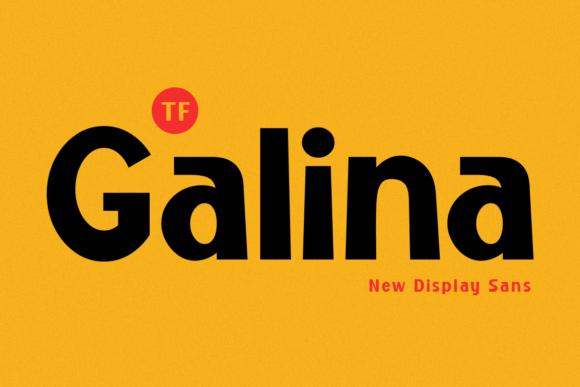 Galina Font: A Display Sans That Lifts Your Digital Brand